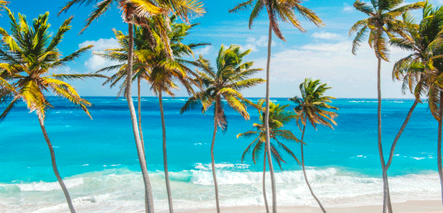 Barbados Kleine Antillen