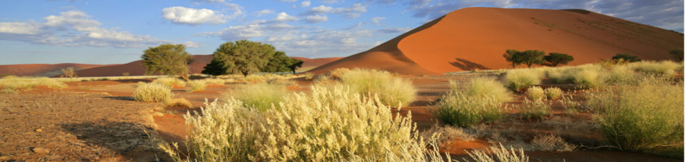 Rundreise Namibia Canyons and Deserts standard