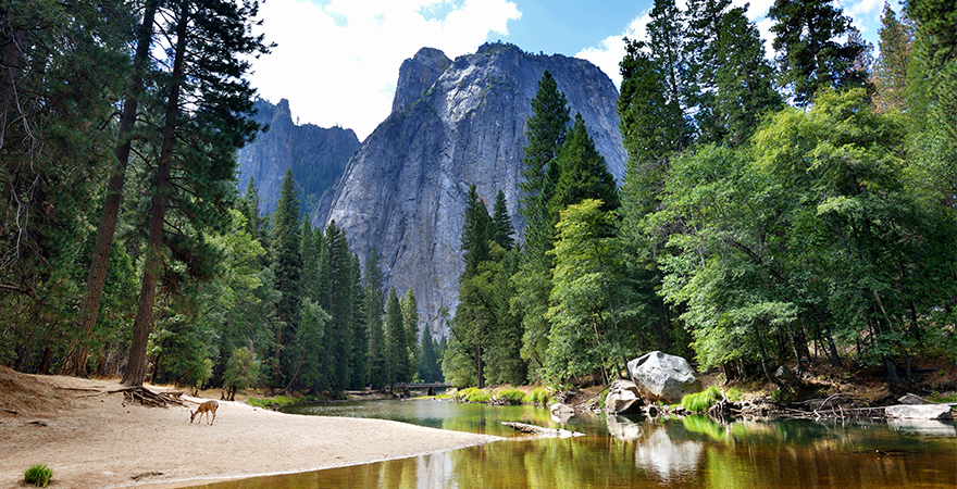 Flusstal im Yosemite Nationalpark