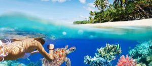 Frau schnorchelt über Korallenriff im tropischen Meer im Hintergrund eine tropische Insel mit Palmen