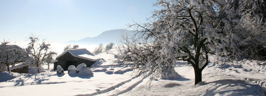 Winter in Slowenien