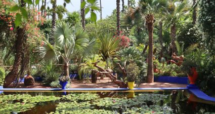 Marrakeschs Gärten