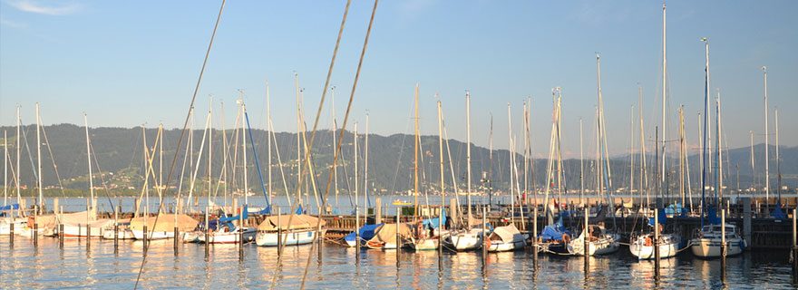 Steg für Boote am Bodensee