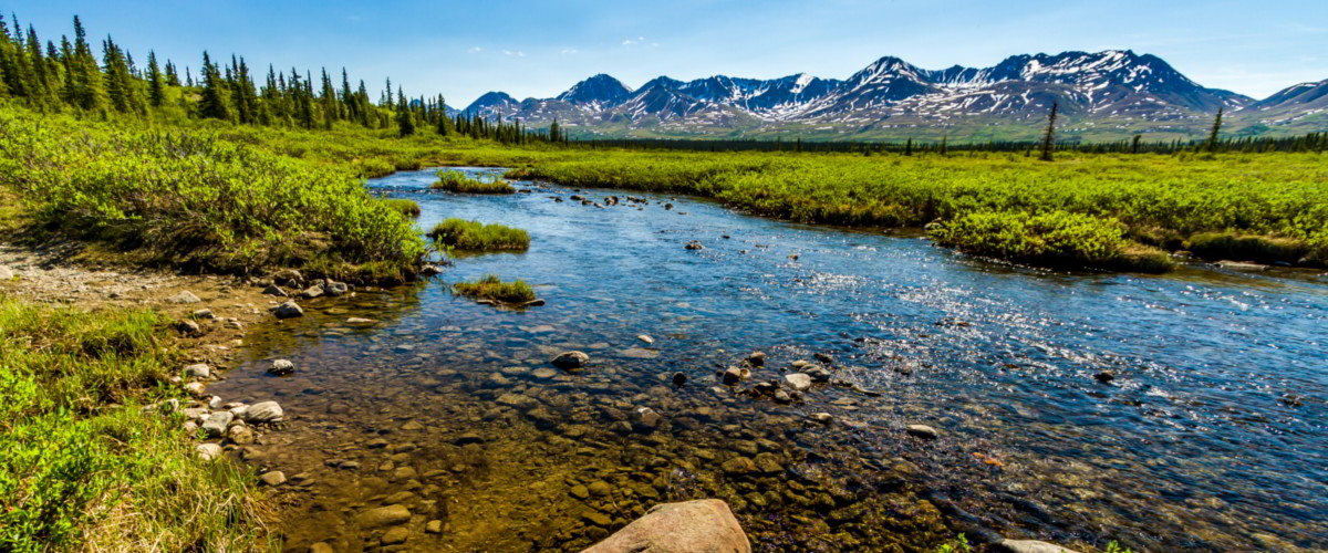 Landschaft in Alaska