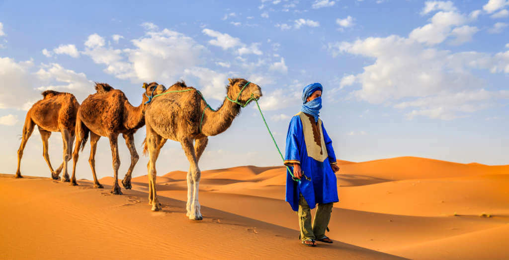 Tuareg und seine Kamele in der Sahara von Marokko