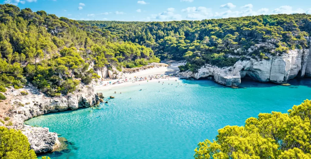 Luftaufnahme von Cala Mitjana, umgeben von üppigem Wald und Kalksteinfelsen auf Menorca, mit kristallklarem blauen Wasser