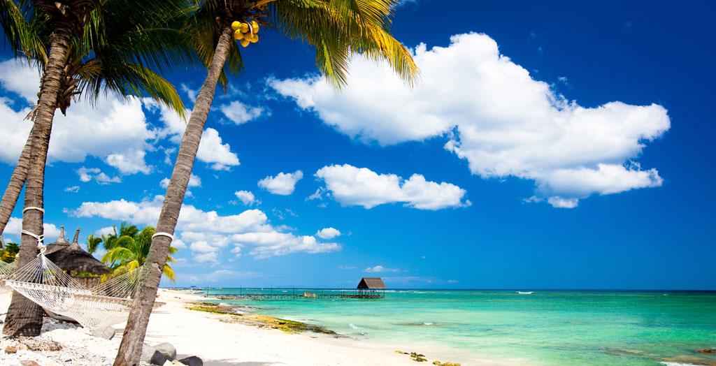 Hängematte am karbischen Strand auf Mauritius mit Palmen