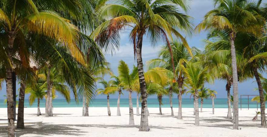 isla cozumel Strand in Mexiko