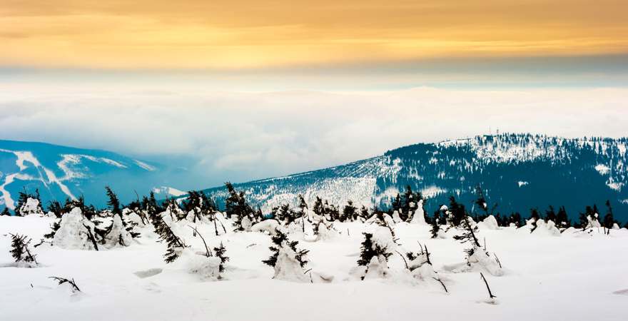tiefverschneite winterlandschaft im riesengebirge
