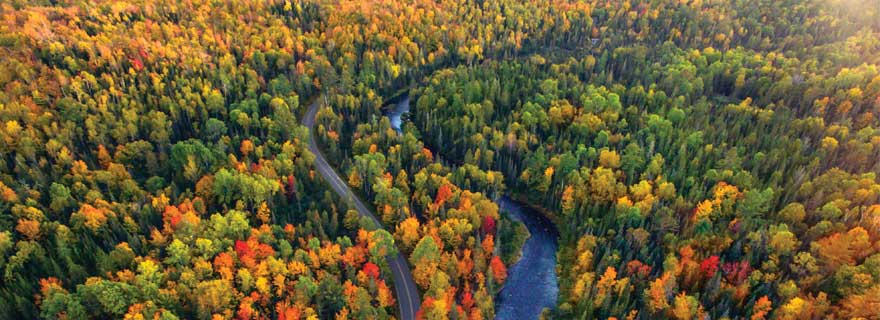 Fluss in Michigan im Herbst