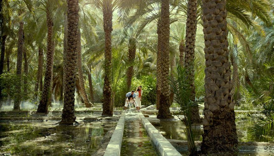 Al Ain Oase in Abu Dhabi