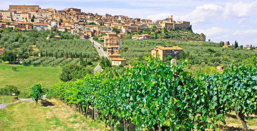 Weinregion in der Toskana