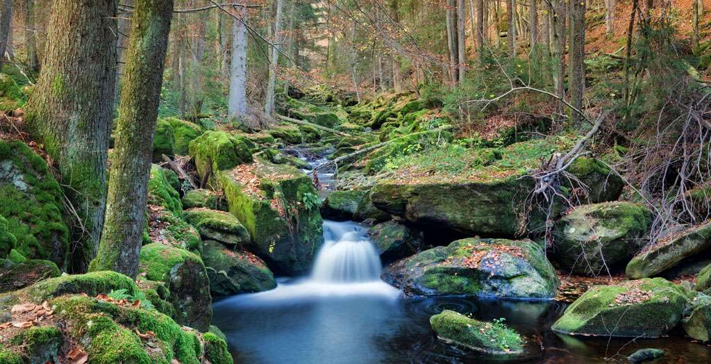 Steinklamm im Nationalpark Bayerischer Wald bei Spiegelau, Bayern, Deutschland