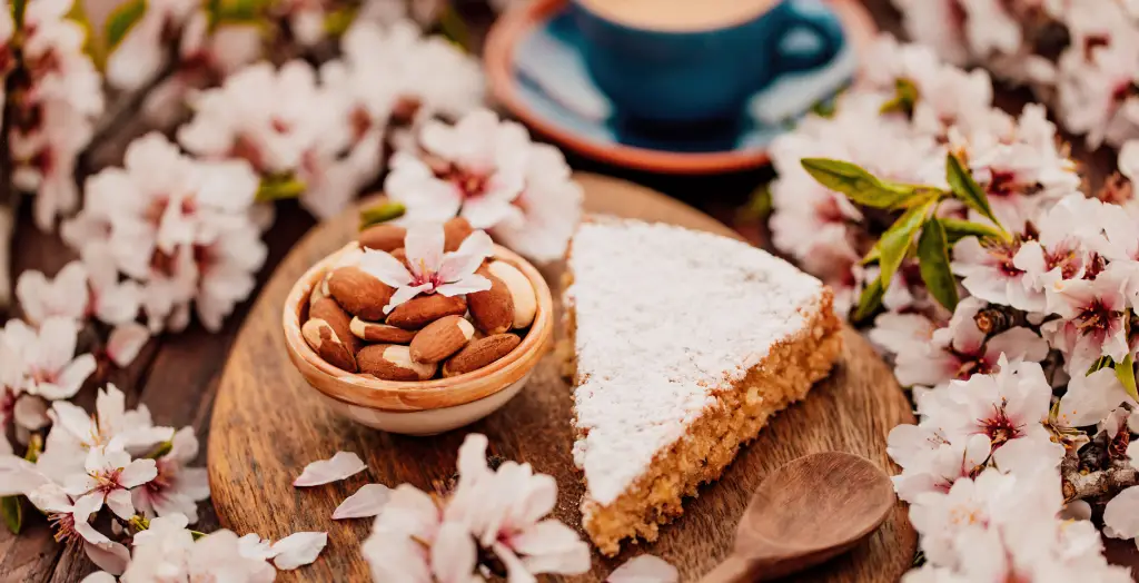 Mallorquinischer Mandelkuchen namens Gató mit spanischem Kaffee, umrahmt von wunderschönen Mandelblüten
