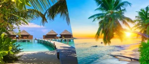 Malediven oder Seychellen