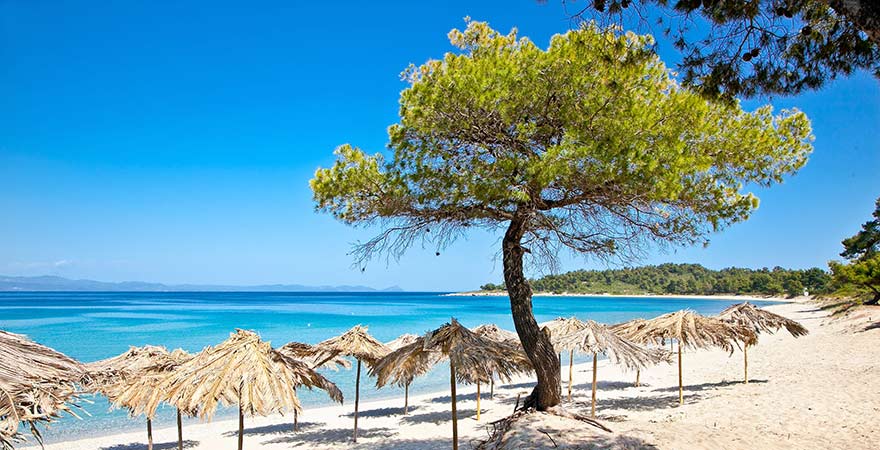 Strand auf Kassandra in der Region Chalkidiki in Griechenland