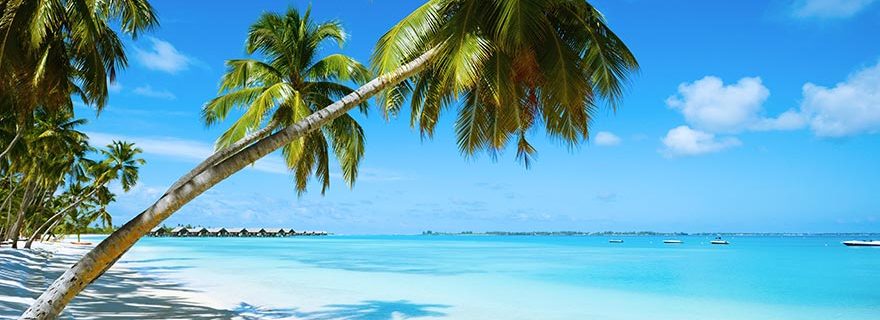 Palmenstrand am Indischen Ozean