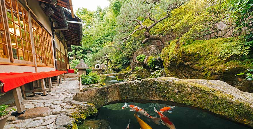 Teich vor einem Kissaten in Kyoto