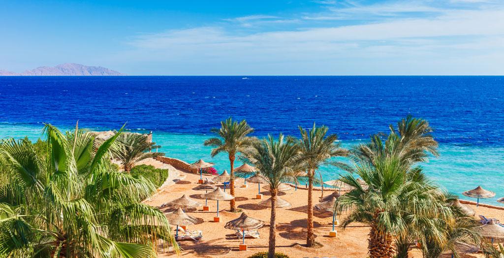 Strand mit Palmen an am Roten Meer in Sharm el Sheikh, Ägypten