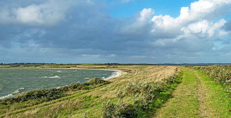 Landschaft im Nationalpark Thy in Dänemark
