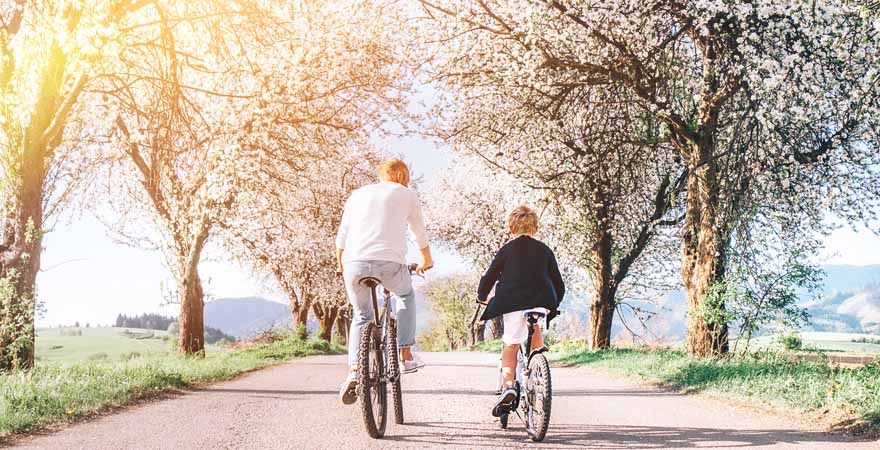 Vater und Sohn fahren Fahrrad durch Allee mit Apfelbäumen 