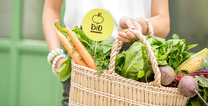 Tasche mit Gemüse mit einem Bio Schild