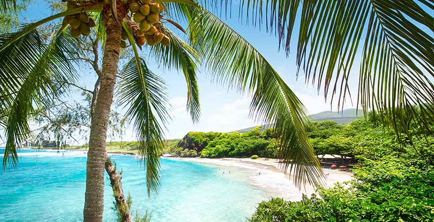 Palmenstrand am Hamoa Beach bei Hana auf Maui, Hawaii