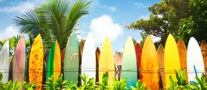 Surfbretter an einem sonnigen Tag in Maui, Hawaii