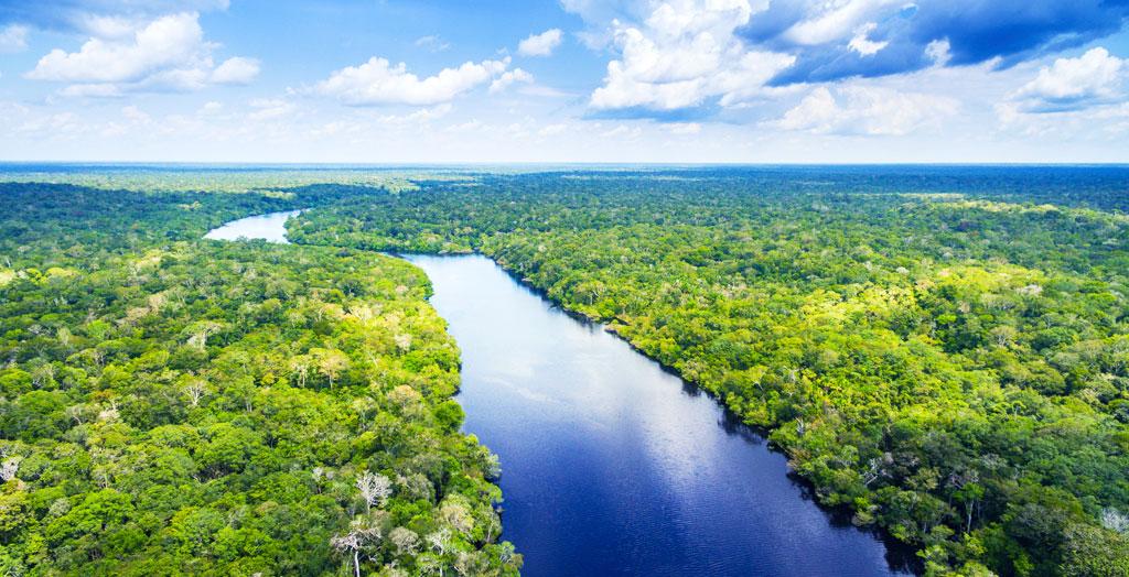 Amazonas in Brasilien