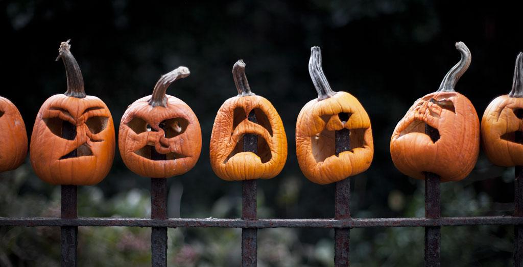 Reihe geschnitzter Kürbisse zu Halloween auf einem Gartenzaun