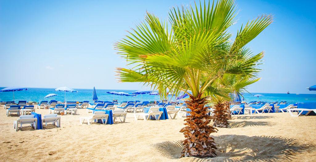 Tropischer Kleopatra Strand mit Palmen in Alanya, Türkei