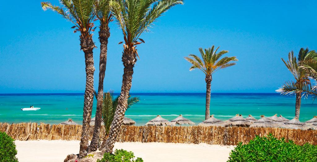 Strand mit Palmen auf Djerba, Tunesien