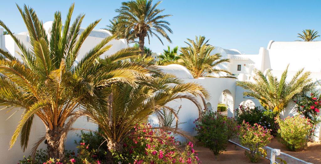 Palmengarten eines Hotels auf Djerba, Tunesien