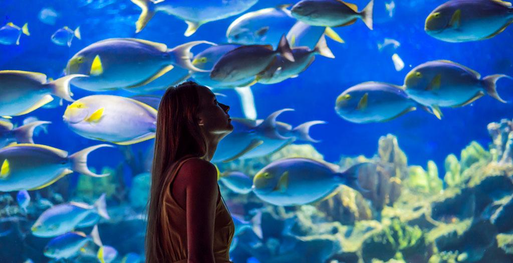 Eine Frau schaut sich die Fische in einem Aquarium an
