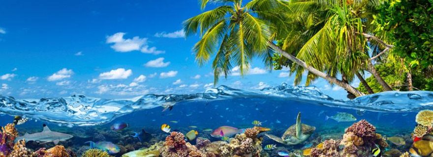 Tropische Insel mit paradiesischem Strand und Unterwasserwasserwelt und farbenfrohen Korallenriff
