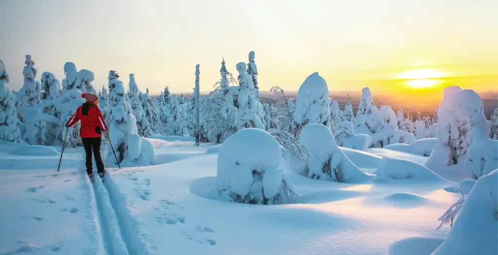 Frau beim Langlaufen in Lappland Finnland im Sonnenuntergang