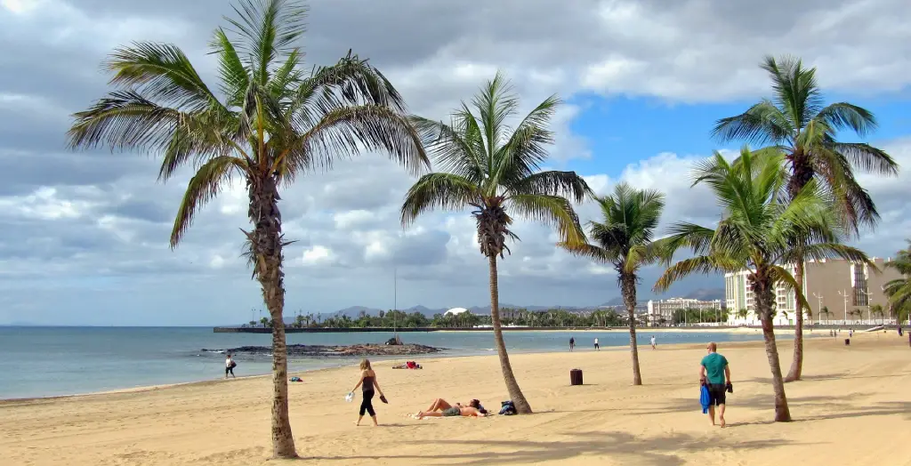 Strand mit Palmen auf Lanzarote, Kanaren, Spanien