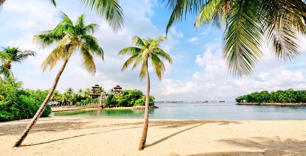 Strand mit Palmen auf der Insel Sentosa, Singapur