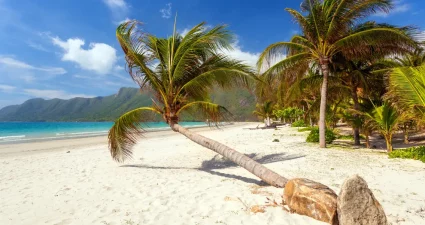 Tropischer Strand mit Palmen auf der Insel Dao, Vietnam