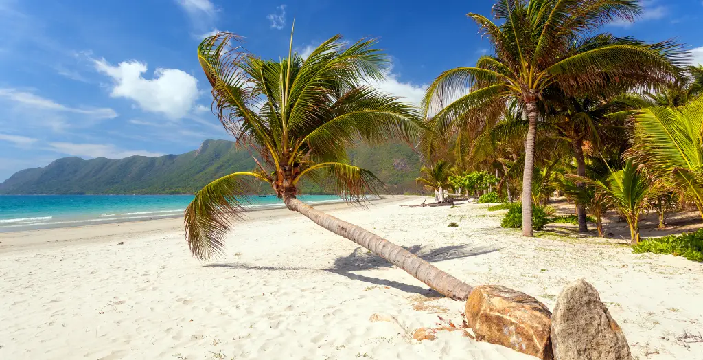 Tropischer Strand, Palmen, Insel Dao, Vietnam