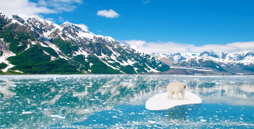 Eisbär auf einer Eisscholle vor der malerischen Kulisse der schneebedeckten Berge Alaskas