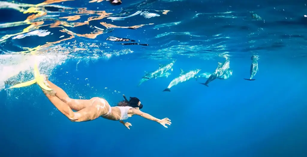 Frau taucht in klarem blauen Wasser mit einer Gruppe von Delfinen unter der Sonnenlichtreflexion.