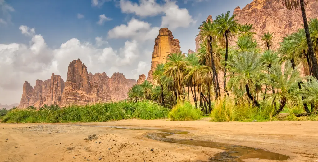 Landschaft in der Oase Wadi Al Disah in Saudi-Arabien