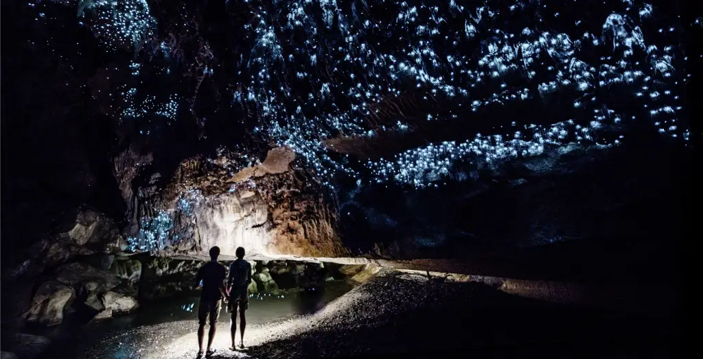 Paar steht unter Glühwürmchenhimmel in der Waipu-Höhle, Neuseeland