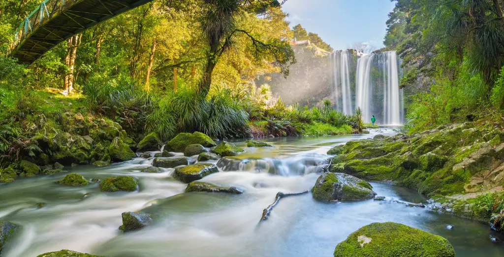 Wasserfall Whangarei Falls in Northland, Neuseeland