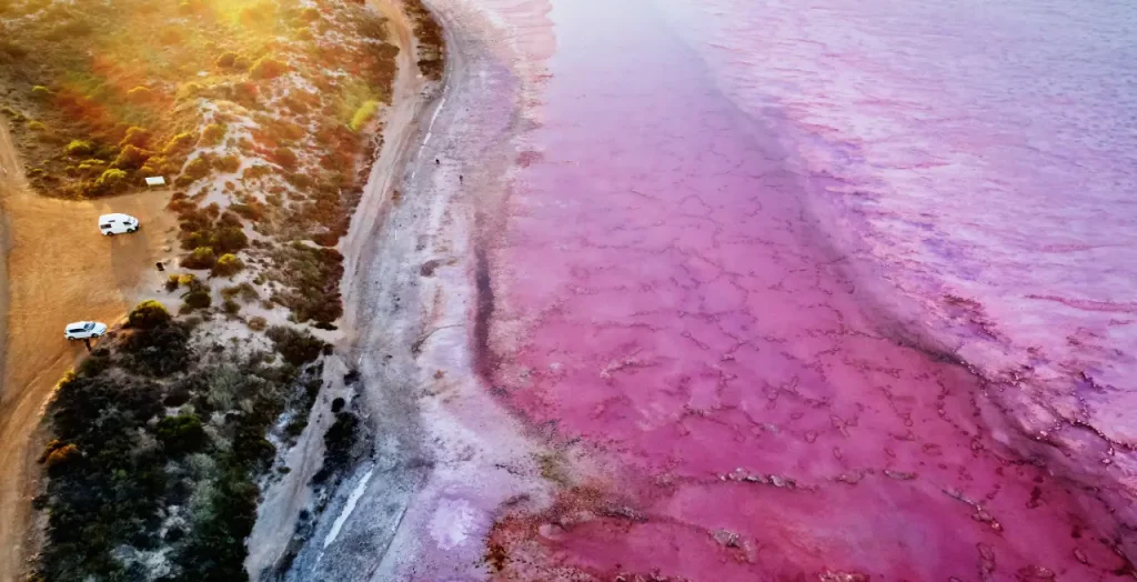 Hutt Lagoon in der Nähe von Port Gregory, Westaustralien, mit seinem markanten rosa Wasser und zwei Fahrzeugen am Ufer [Bildquelle: © Tourism Western Australia]