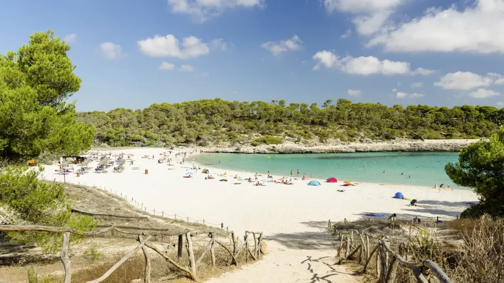 Strahlend weißer Sandstrand von Playa S'Amarador mit kristallklarem Wasser und grünen Pinien im Hintergrund