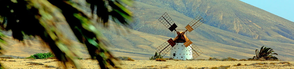Die Windmühlen auf Fuerteventura sind sehenswert