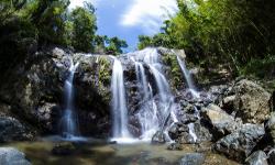 Argyle Wasserfall Tobago