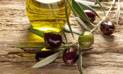 Gardasee Urlaub Olivenöl